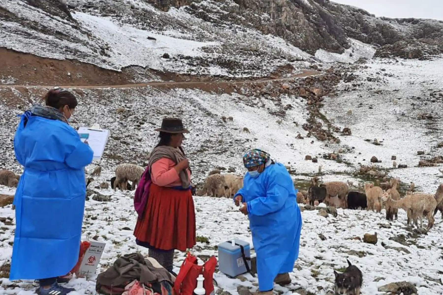 No hay obstáculo para las brigadas de vacunación cuando se trata de proteger a la población de las zonas más alejadas del país contra la COVID-19. Foto: MINSA