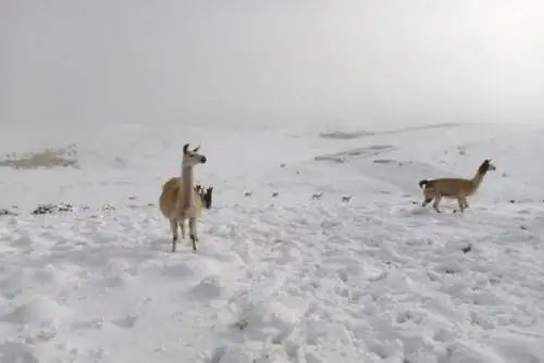 La aparición de la DANA no puede determinarse, pero esta es la segunda de este año. ANDINA/Difusión