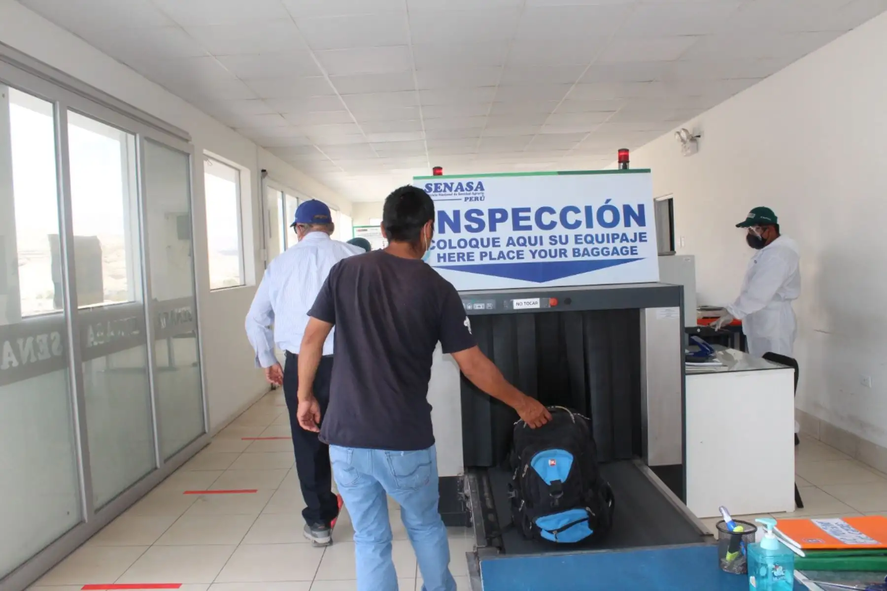 Senasa fortalece cordón cuarentenario en resguardo de producción frutícola nacional.