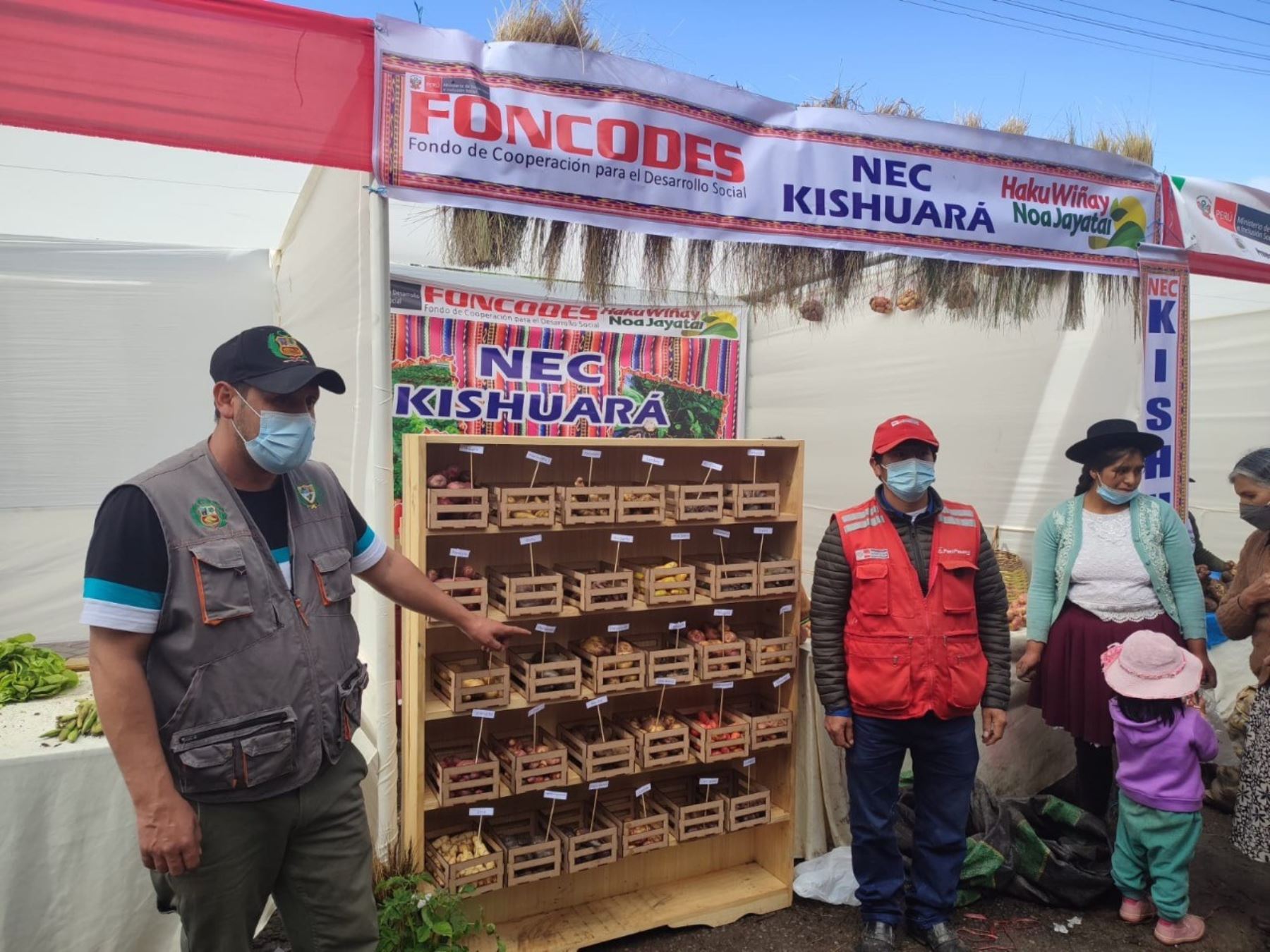 Apurímac:60 emprendimientos de Haku Wiñay acceden a mercados locales con buenos resultados