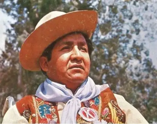 Picaflor de los Andes.