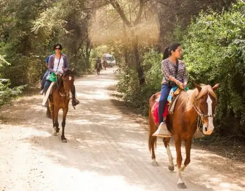 En este feriado largo por Semana Santa disfruta de la naturaleza en seis áreas naturales protegidas que ofrecen una visita segura a los turistas.