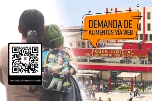 La Corte Superior de Justicia de Lima Norte, que preside la jueza superior Carmen María López Vásquez, ya recepciona demandas de alimentos a través de una plataforma web que permite la descarga y llenado de un formulario web de fácil acceso, el mismo que se presenta en el mismo día. Foto: Difusión