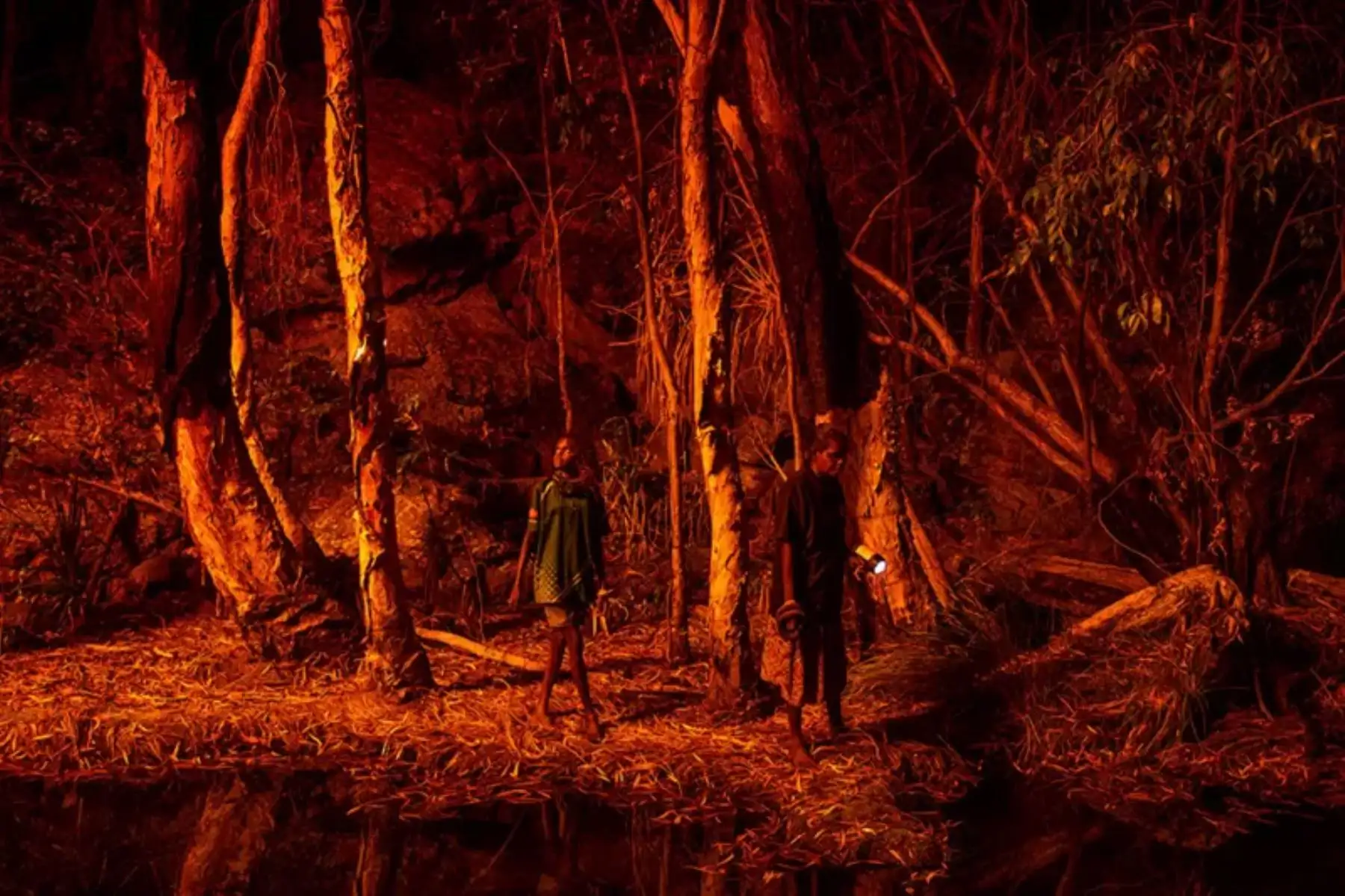 Indígenas australianos prendieron fuego a la corteza de los árboles para producir una fuente de luz natural que les ayude a cazar serpientes.
Foto: Matthew Abbott para National Geographic / WPP