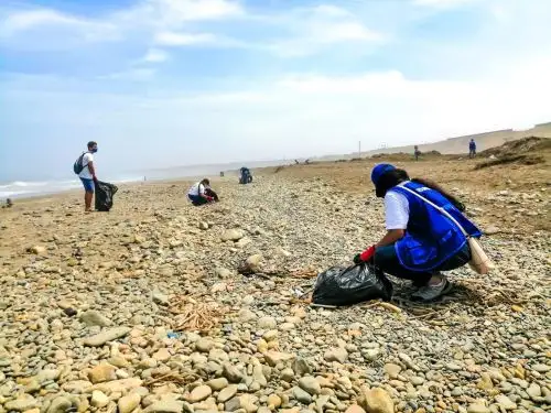 Jóvenes voluntarios realizan campaña de limpieza en playas y totorales de balneario de Huanchaco, ubicado en la provincia de Trujillo. ANDINA/Difusión