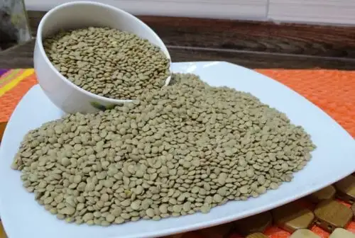 La lenteja forma parte de la familia de las leguminosas y constituye uno de los cultivos más importantes y tradicionales del mundo. Es considerada un alimento funcional por su alta concentración de nutrientes saludables y proporciona fibra, hierro, folato, proteína, magnesio y zinc.