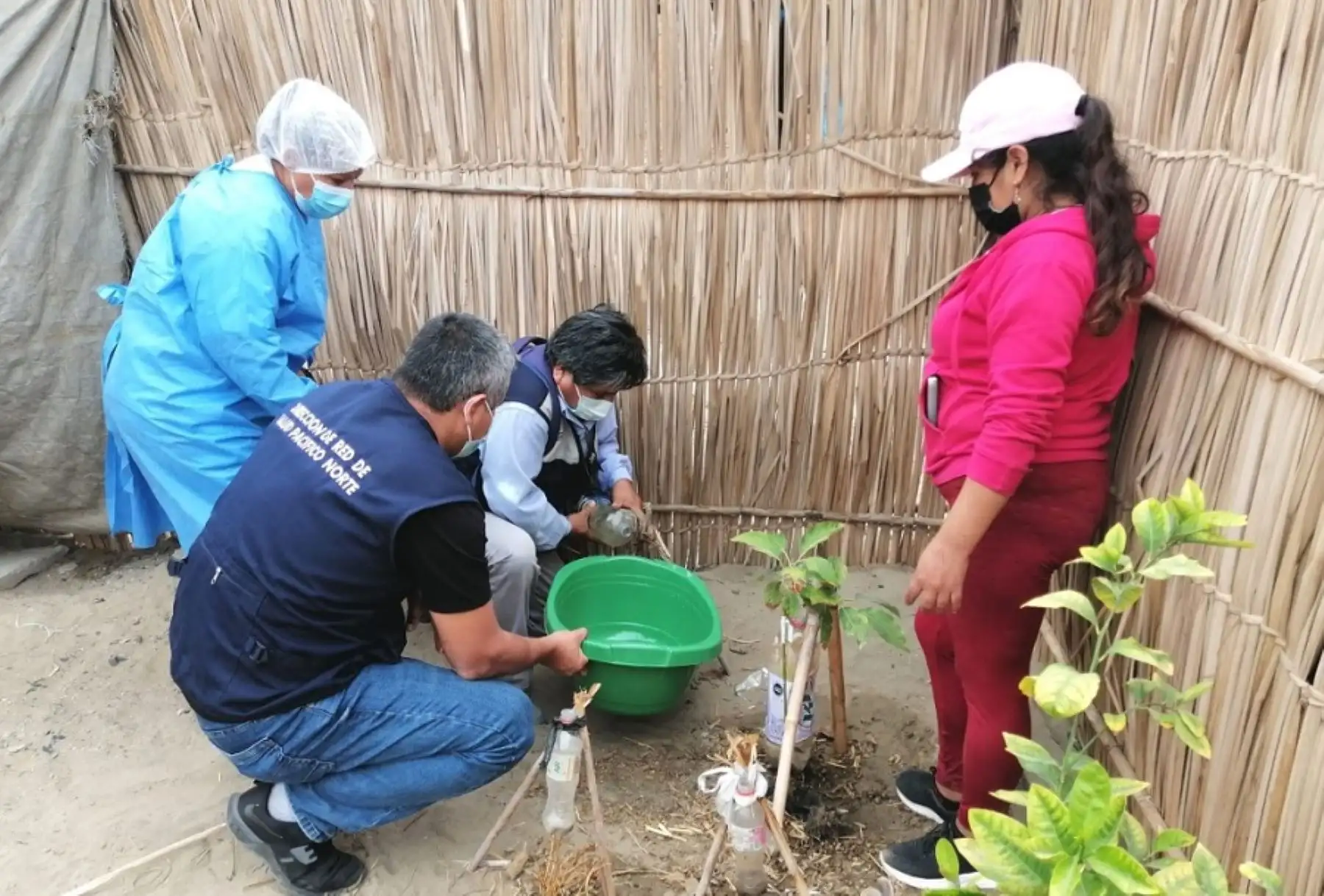 La Red de Salud Pacífico Norte, anunció la intensificación de las acciones de lucha contra el dengue. Para ello, se intervendrán 2,260 viviendas en el distrito ancashino de Coishco, en la provincia del Santa, considerado una zona altamente endémica.