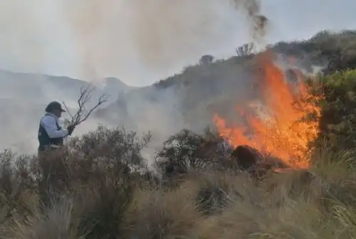 Una de las causas que provocan la ocurrencia de incendios forestales es la quema de residuos agrícolas y pastos naturales, como parte de una mala práctica agrícola. Foto: ANDINA/Difusión
