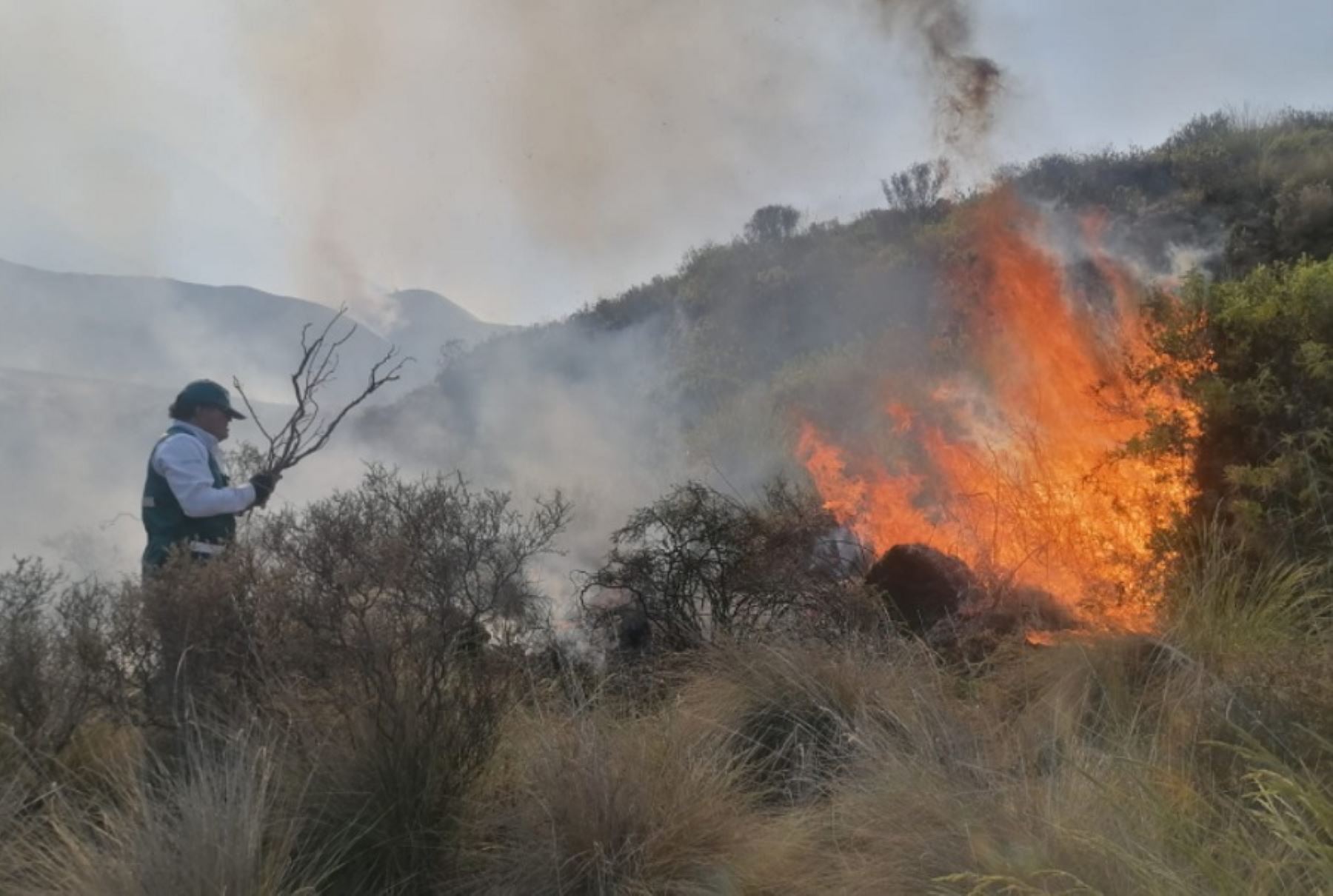 Personal de la Policía de Alta Montaña, del Ejército, Serfor y personal del Sernanp, están sofocando el incendio forestal que se registra desde la víspera en las faldas del volcán Misti, en Arequipa. Foto: COER Arequipa.