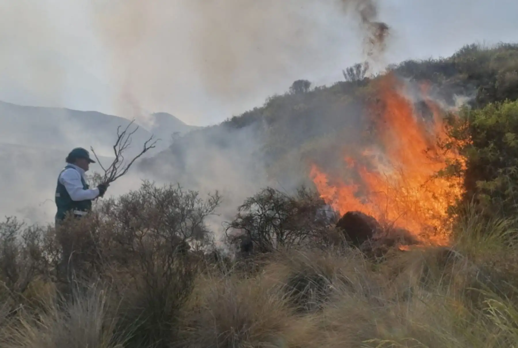 Una de las causas que provocan la ocurrencia de incendios forestales es la quema de residuos agrícolas y pastos naturales, como parte de una mala práctica agrícola. Foto: ANDINA/Difusión