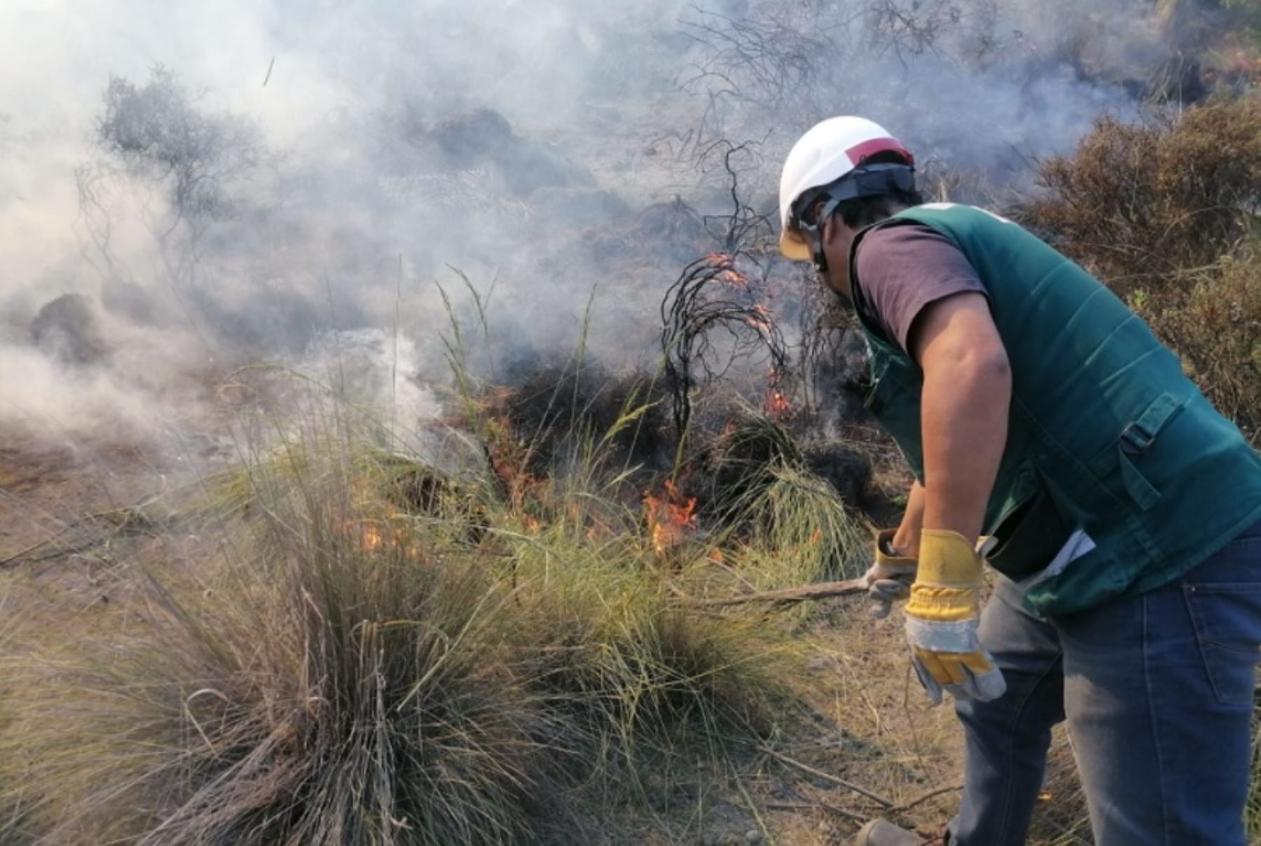 Cusco: autoridades y población controlan incendio forestal en distrito de Echarati