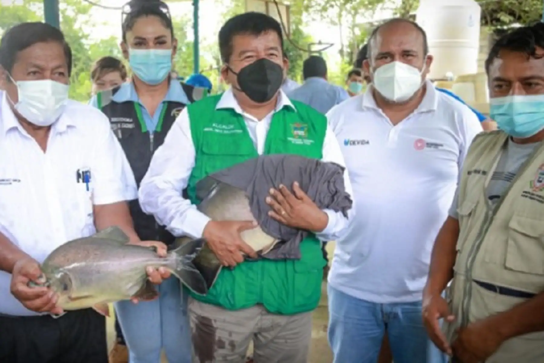 La Comisión Nacional para el Desarrollo y Vida sin Drogas (Devida) y la municipalidad provincial de Leoncio Prado fortalecen la sostenibilidad de la actividad piscícola a favor de familias piscicultoras de cinco distritos del Alto Huallaga.