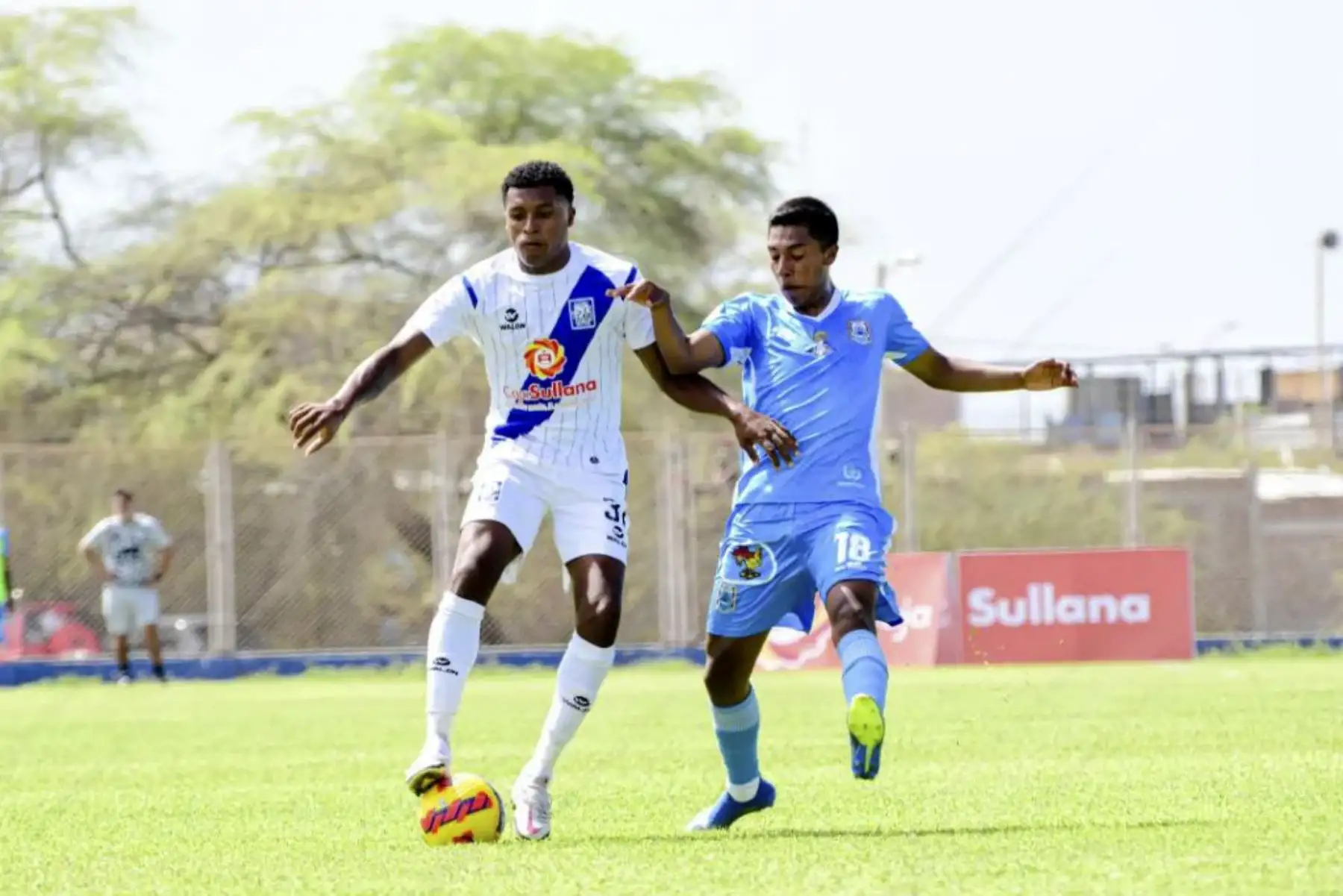 Con goles de Fernández y Zanelatto, Alianza Atlético Sullana se impuso 2-0 a Binacional FC por la décima jornada del Torneo Apertura de la Liga 1 Betsson.
Foto: ANDINA/Liga 1