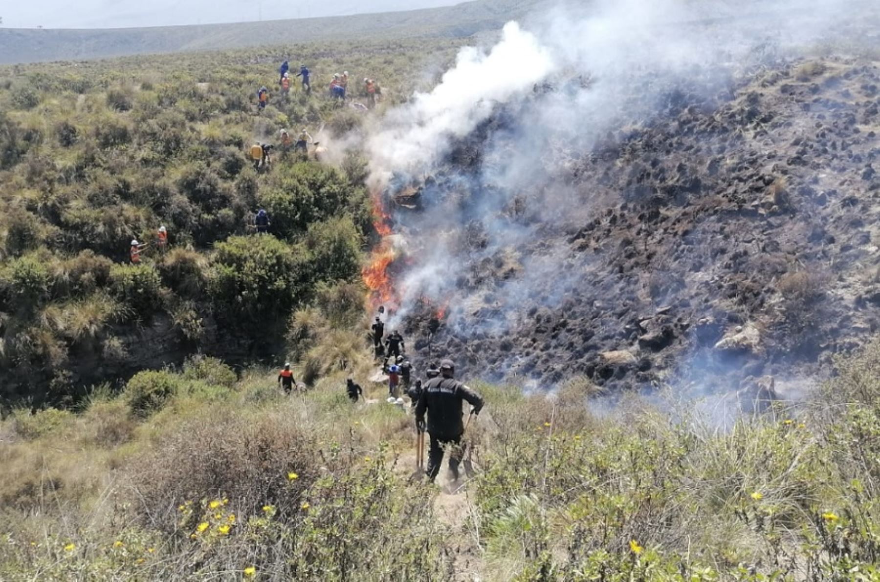 Un incendio forestal se registra en estos momentos entre los distritos de Pocsi y Polobaya, región Arequipa. .ANDINA/Archivo
