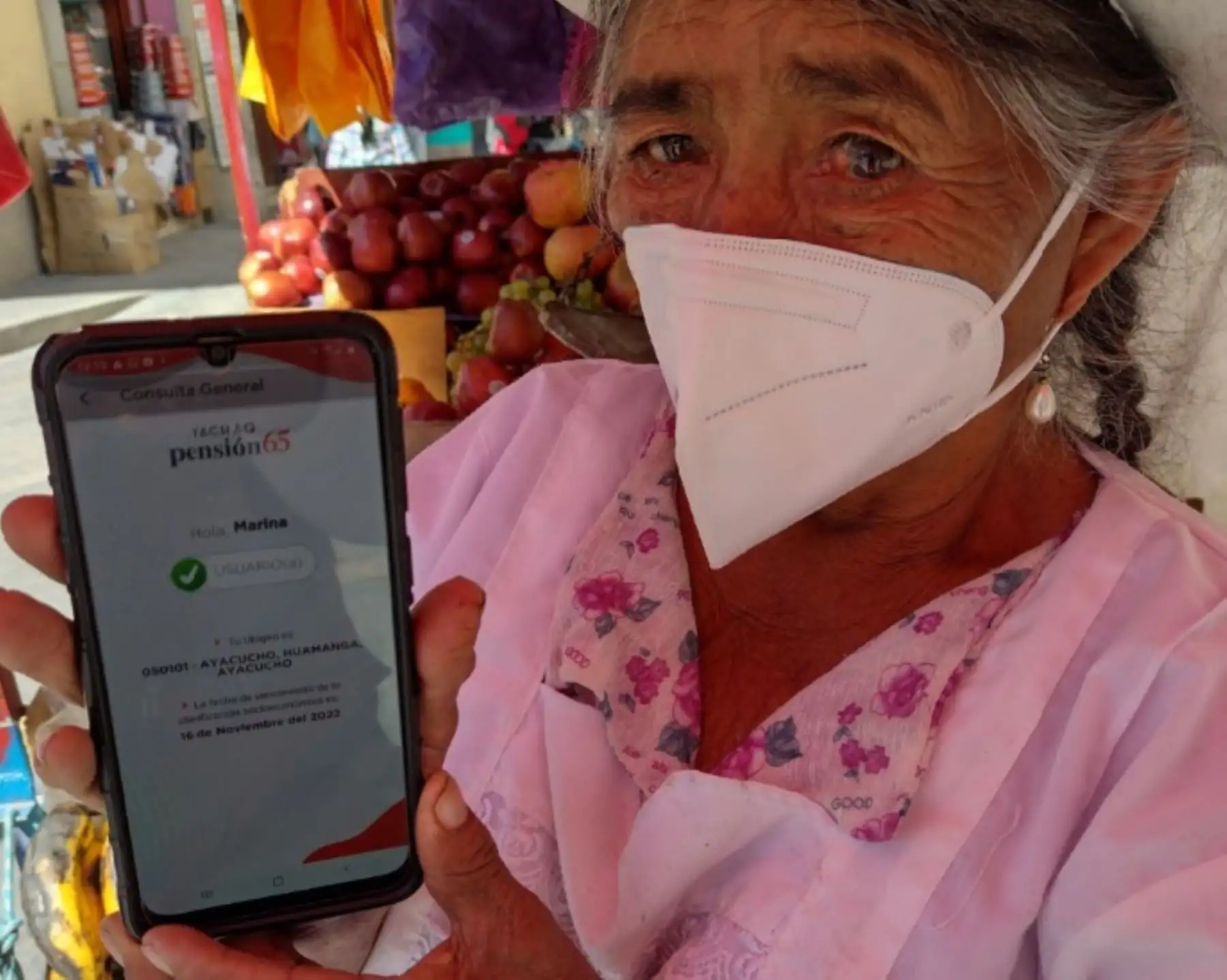 Para accionar el aplicativo solo debe colocarse el número de DNI y la fecha de nacimiento de la persona.
