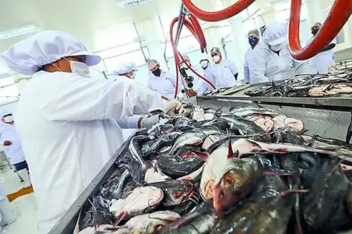 Pescado.