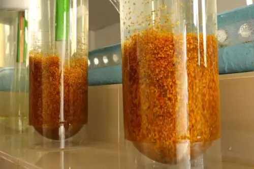 San Martín:Estación Pesquera Ahuashiyacu cuenta con laboratorio de incubación de Tilapia