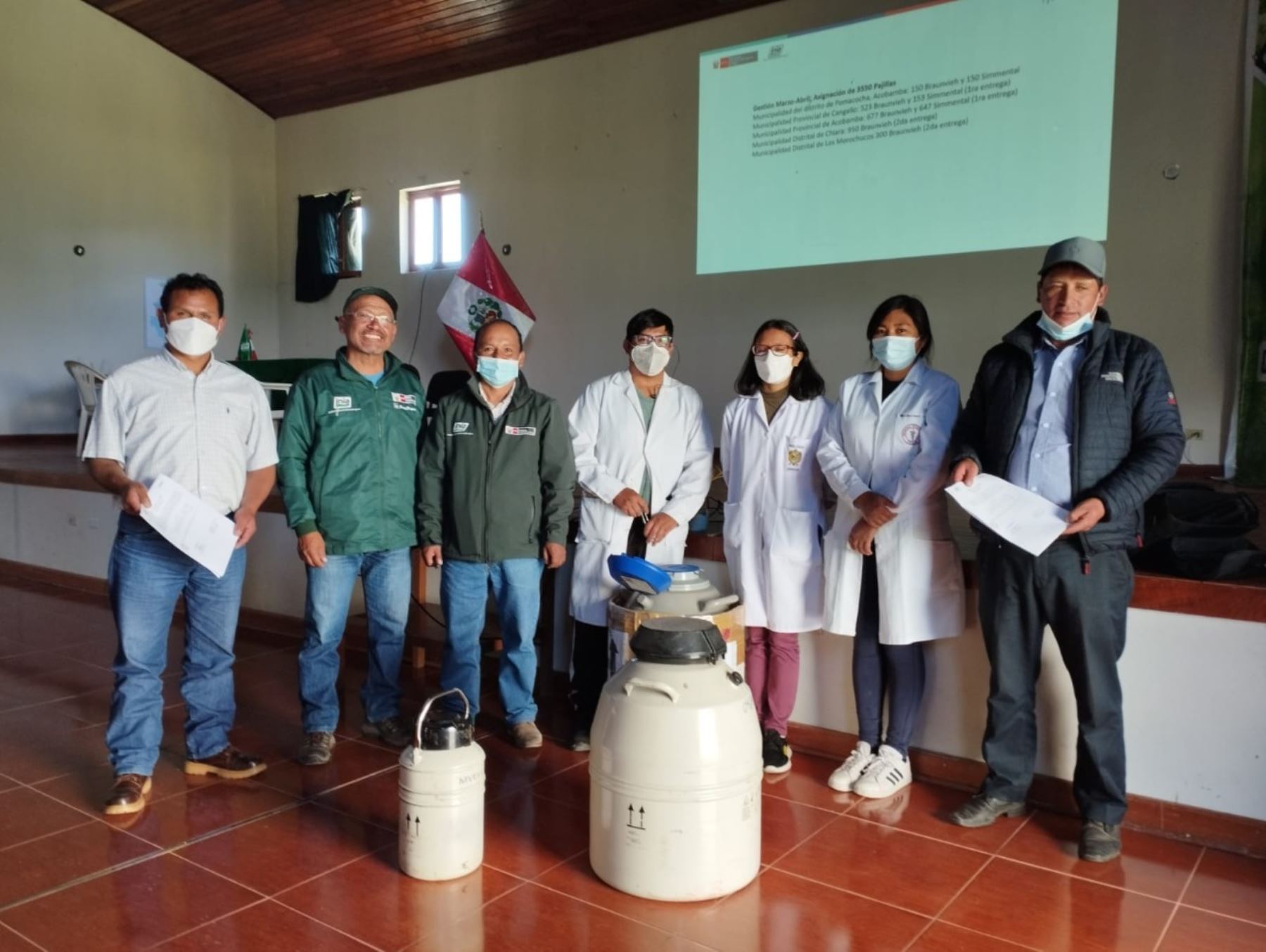Transfieren 2,000 pajillas de semen de ganado para productores de Ayacucho y Huancavelica