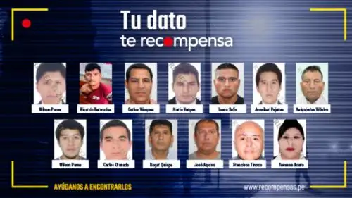 Sector Interior ofrece beneficios económicos de entre S/10 000 y S/100 000 por información que ayude a la PNP a ubicarlos y capturarlos. Foto: Difusión