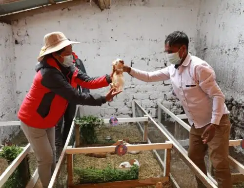 Proyecto Haku Wiñay de Foncodes invirtió S/ 131.5 millones en últimos diez años en Huancavelica para financiar diversos proyectos productivos que beneficiaron a cerca de 27,000 familias rurales. ANDINA/Difusión
