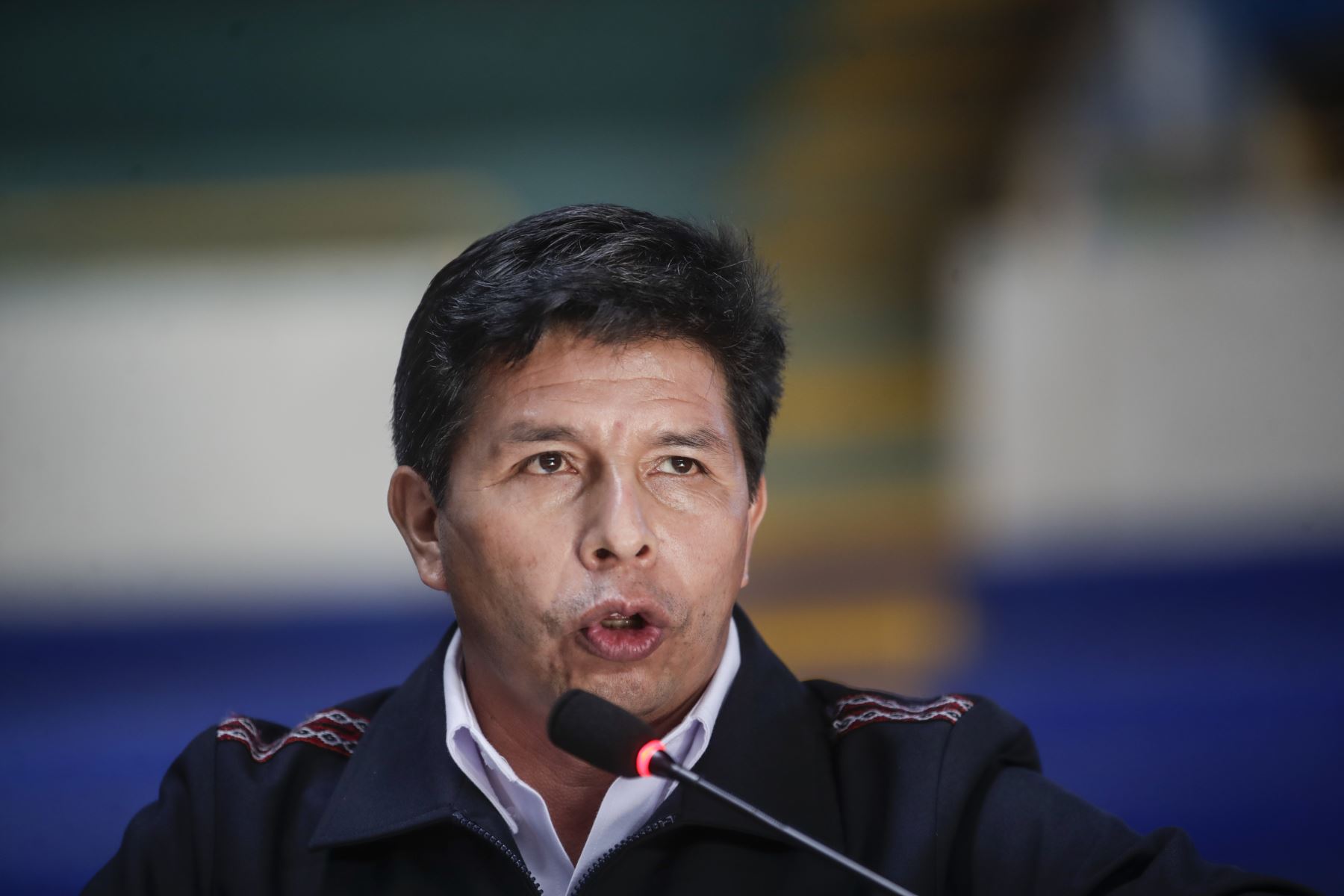 Presidente Castillo anuncia proyecto para que delincuentes trabajen y asuman sus gastos