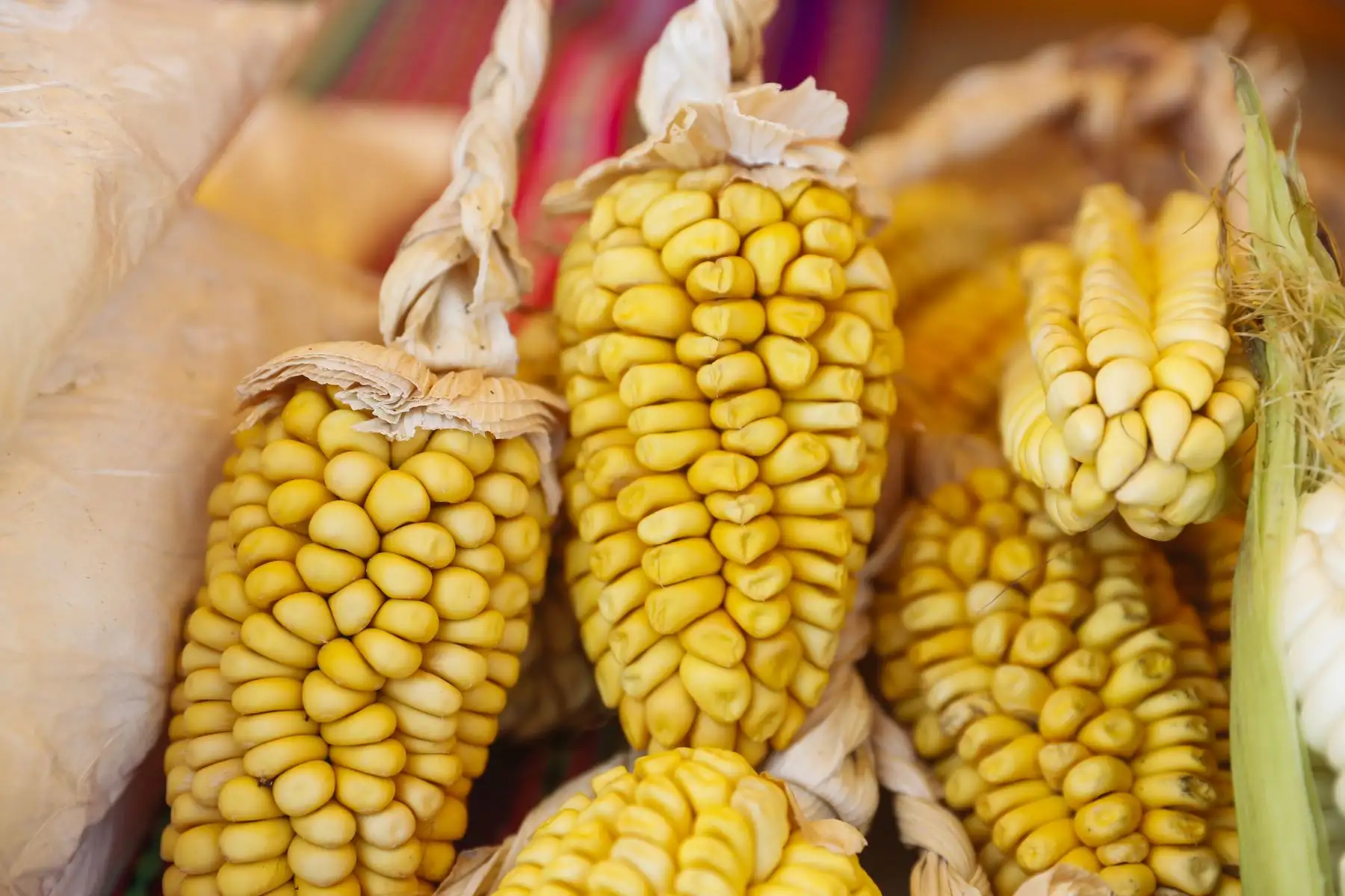 Productores de 09 regiones del país ofertan sus productos a módicos precios en la I feria De la Chacra a la Olla 2022, desarrollado por el Midagri, a través de Agro Rural, entre el 23 y 24 de abril en Av San Marcos con San Aurelio de Chorrillos. Foto: ANDINA/Renato Pajuelo