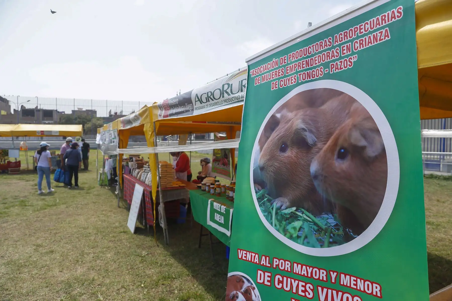 Productores de 09 regiones del país ofertan sus productos a módicos precios en la I feria De la Chacra a la Olla 2022, desarrollado por el Midagri, a través de Agro Rural, entre el 23 y 24 de abril en Av San Marcos con San Aurelio de Chorrillos. Foto: ANDINA/Renato Pajuelo