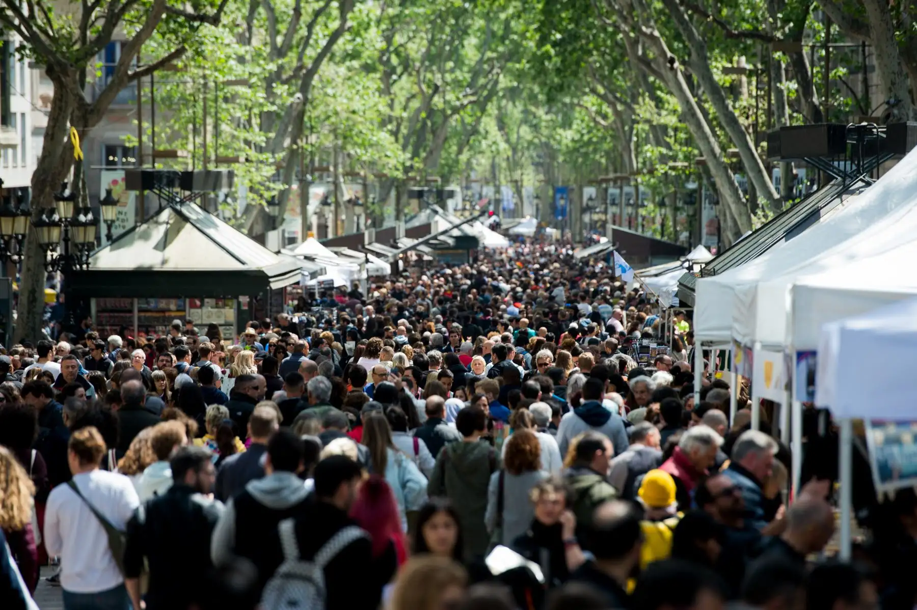 La gente camina por la calle Ramblas durante las festividades de Sant Jordi que marcan el día de San Jorge en Barcelona.
Foto: AFP