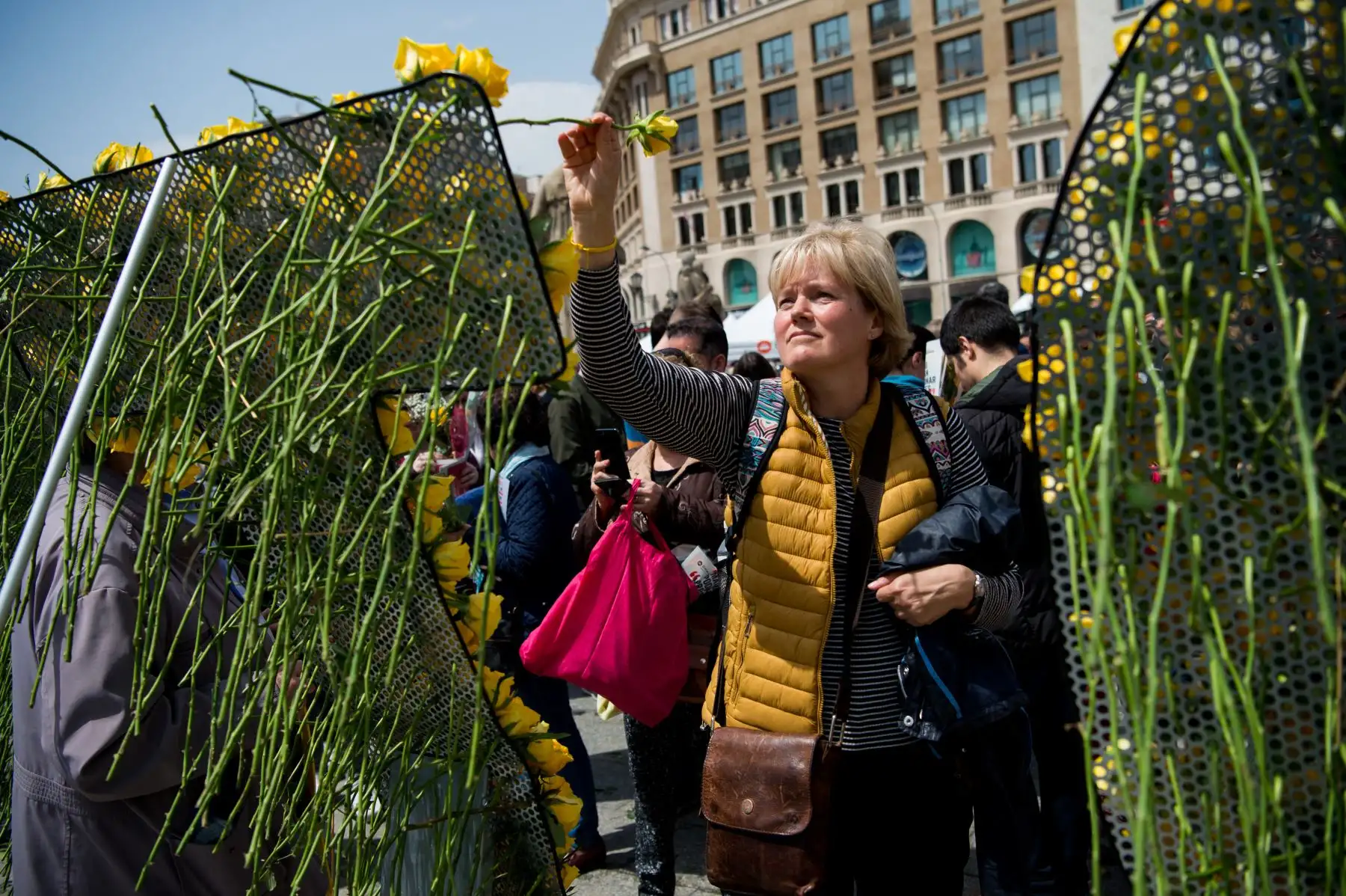 Una mujer coloca una rosa amarilla en letras que dicen "Libertad" durante las festividades de Sant Jordi que marcan el día de San Jorge en Barcelona.
Foto: AFP