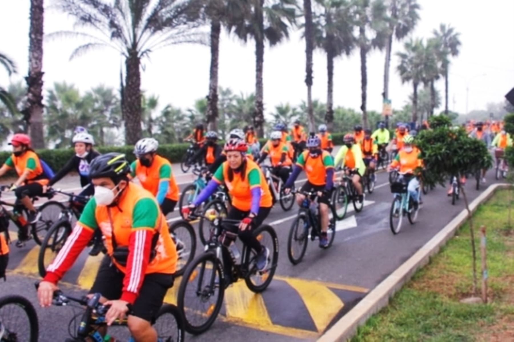 Minam destaca el uso de la bicicleta como una medida eficaz para proteger al ambiente. Foto: ANDINA/Difusión.