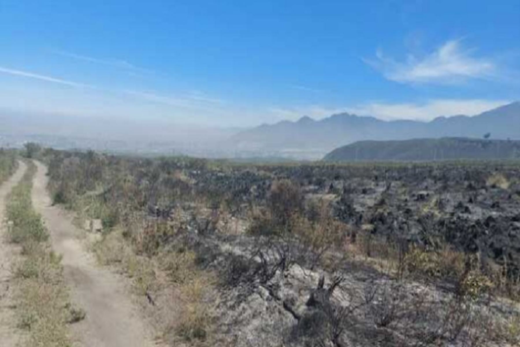 Incendio forestal en faldas del volcán Misti arrasó 273,92 hectáreas de terreno
