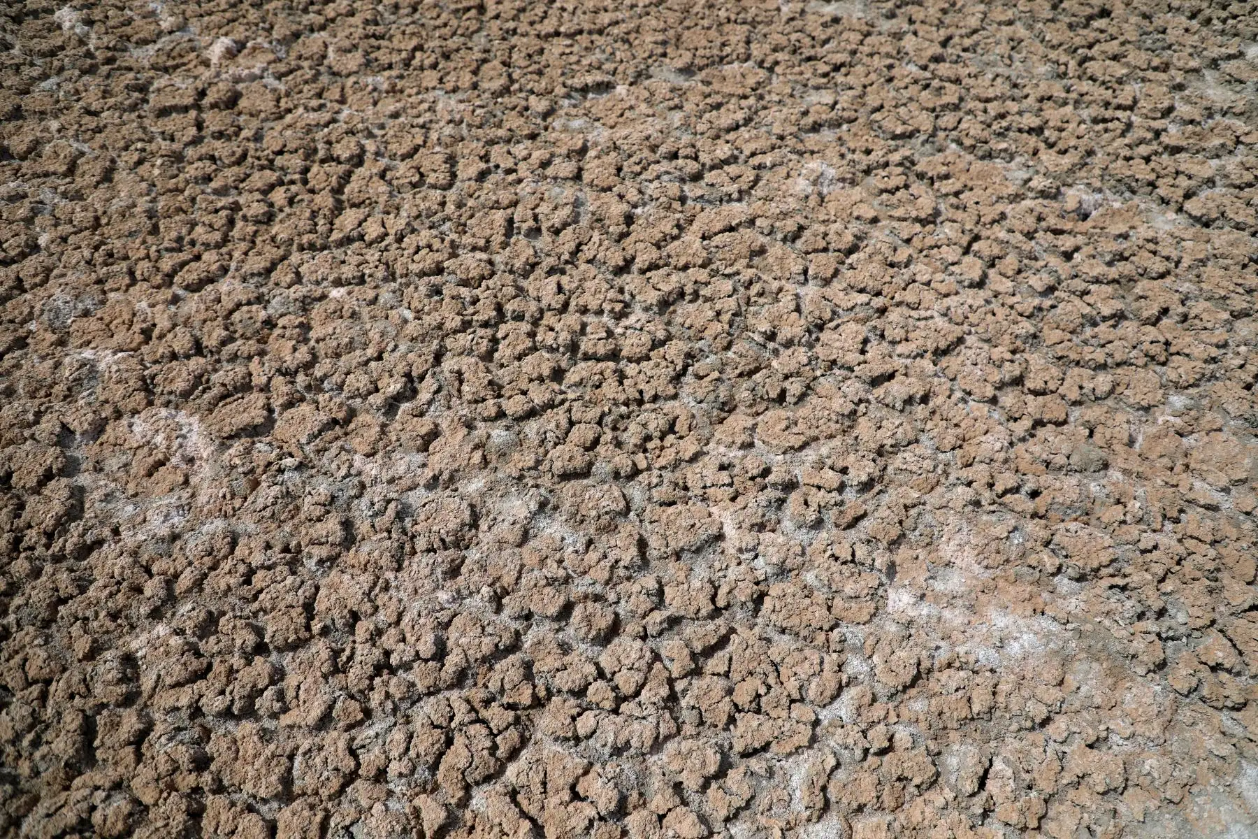 Esta vista aérea muestra el lago Sawa completamente seco debido a años de sequía en la provincia de al-Muthanna, en el sur de Irak, el 19 de abril de 2022.
Foto: ANDINA/AFP