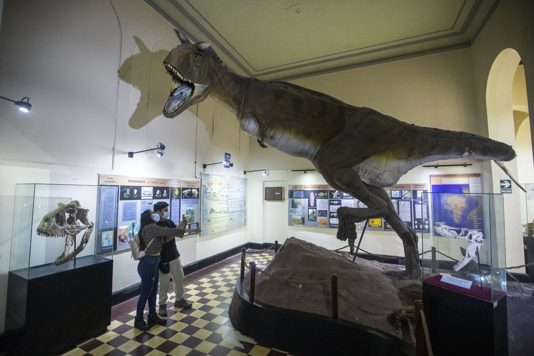 Museo de Historia Natural de San Marcos: ciencia y cultura al alcance de todos