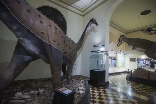 ANDINA/Carla Patiño Ramírez