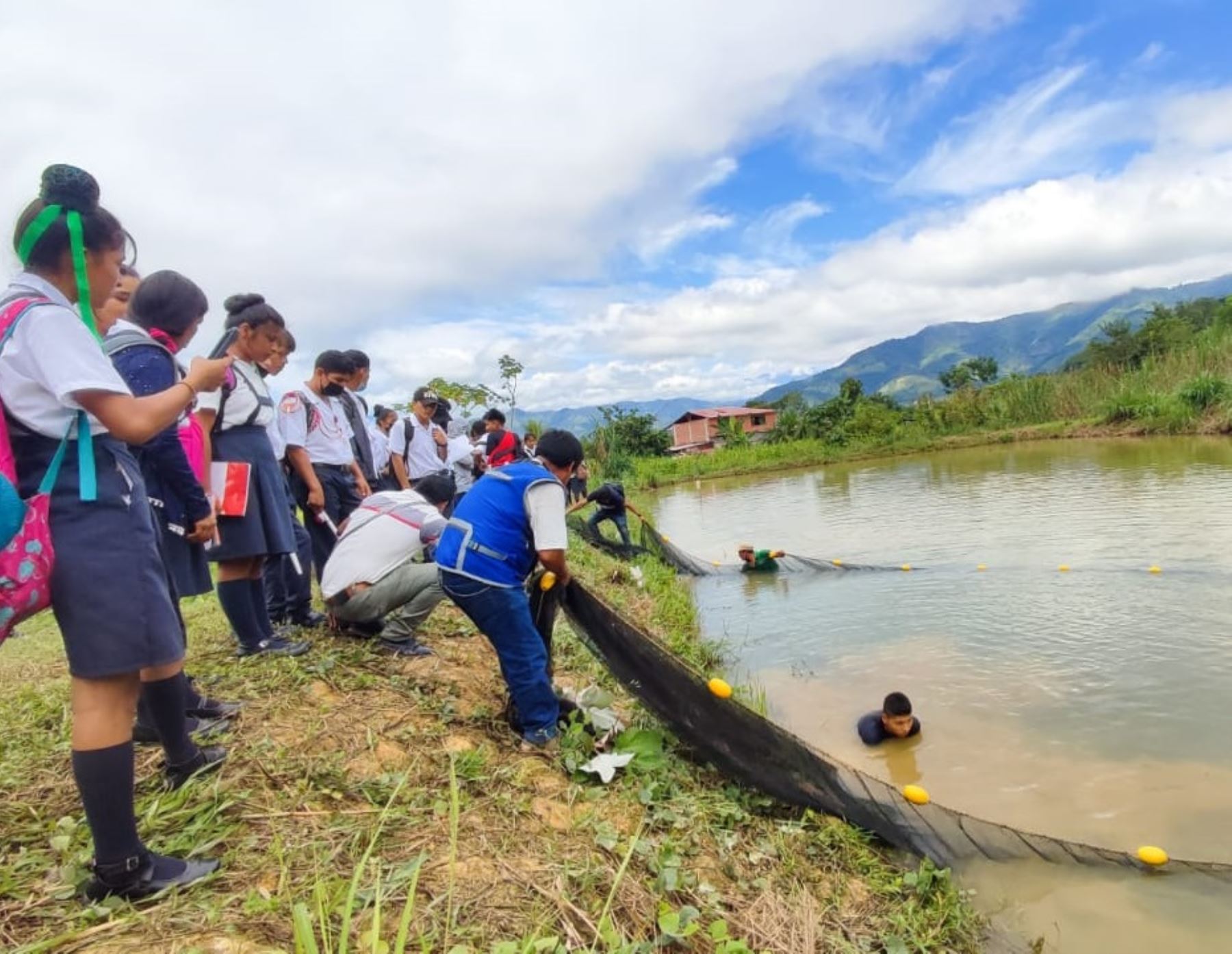 Escolares del distrito de Río Negro, provincia de Satipo, impulsan proyecto de crianza de peces amazónicos. ANDINA/Difusión