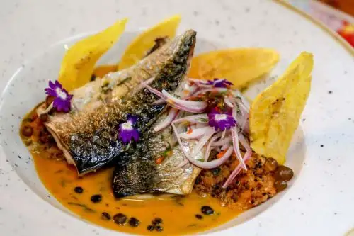 El consumo frecuente de pescado puede reducir las probabilidades de desarrollar cáncer gracias al omega 3 presente en este nutritivo alimento, han señalado expertos en nutrición. Foto: Cortesía