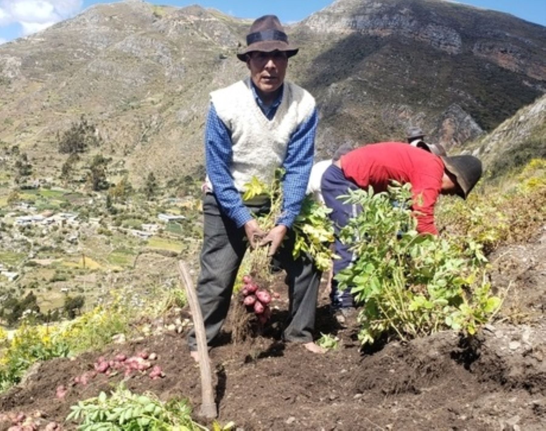 Alimentos de la agrobiodiversidad peruana beneficiaron a escolares de 3 regiones andinas