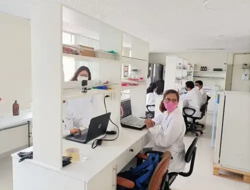 Las hermanas Jacqueline e Isemar Cruz Loayza son dos investigadoras arequipeñas que aplican la nanotecnología para inventar biocuero y otras soluciones sustentables. Foto: Rocío Méndez