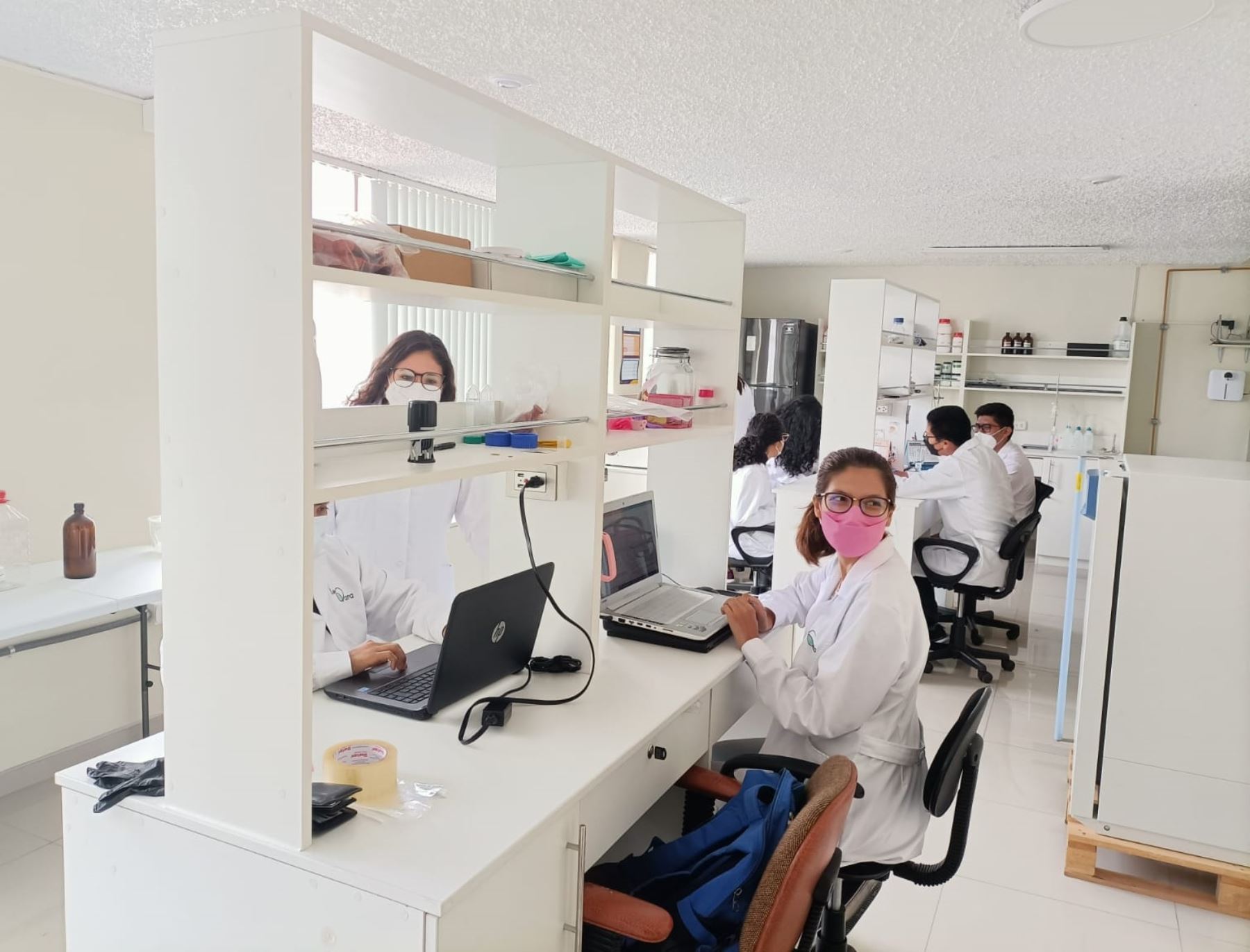 Arequipa: investigadoras aplican nanotecnología para inventar biocuero y otras soluciones