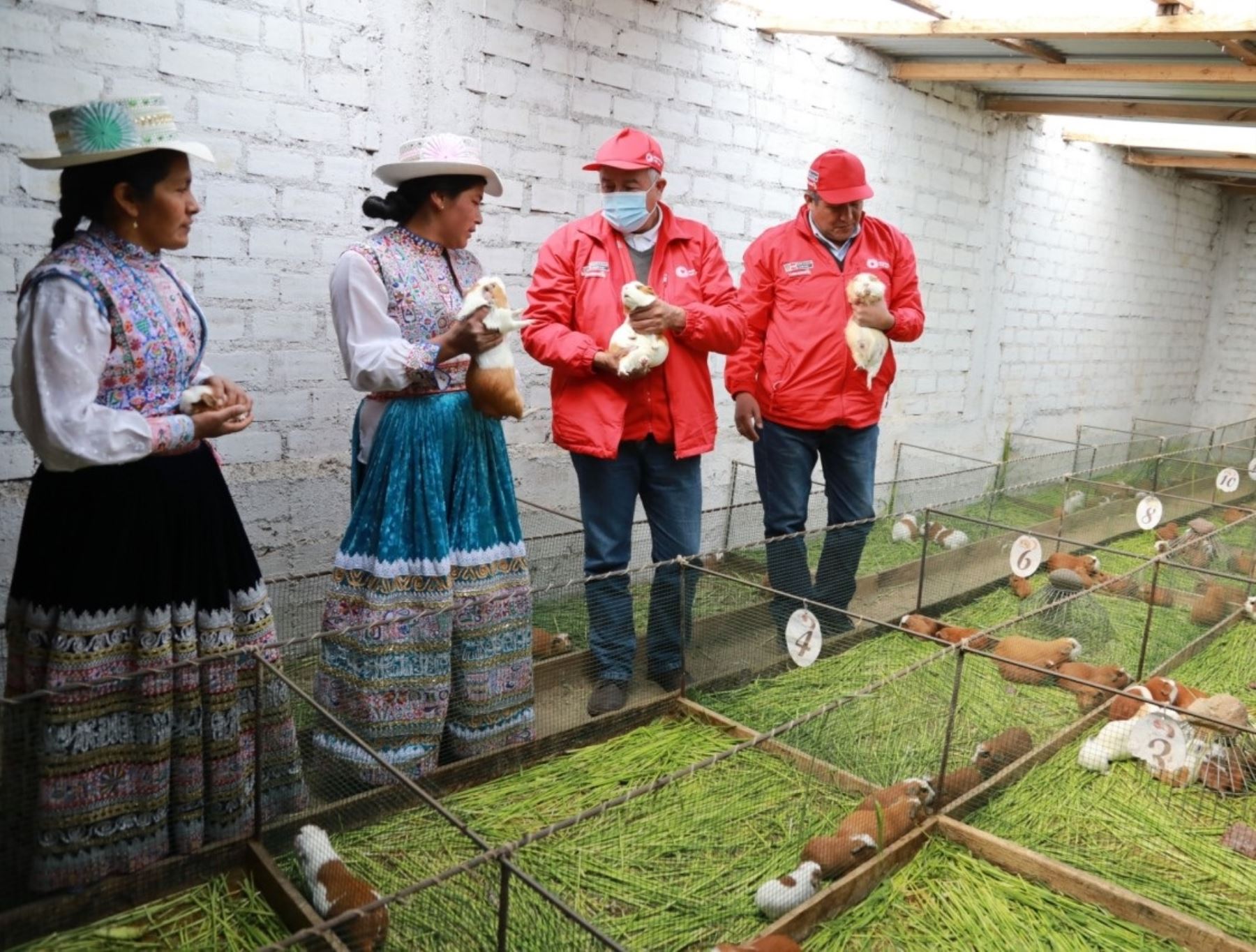 Arequipa: Haku Wiñay impulsa proyectos de emprendedores rurales de Caylloma y Condesuyos