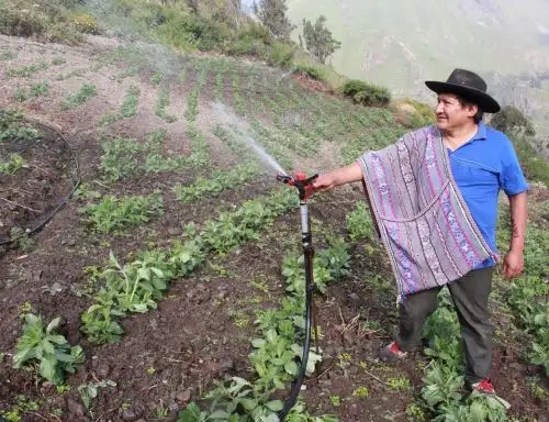 Foncodes invierte S/ 2.6 millones para mejorar calidad de vida y financiar emprendimientos rurales de familias pobres de la provincia limeña de Huarochirí. ANDINA/Difusión