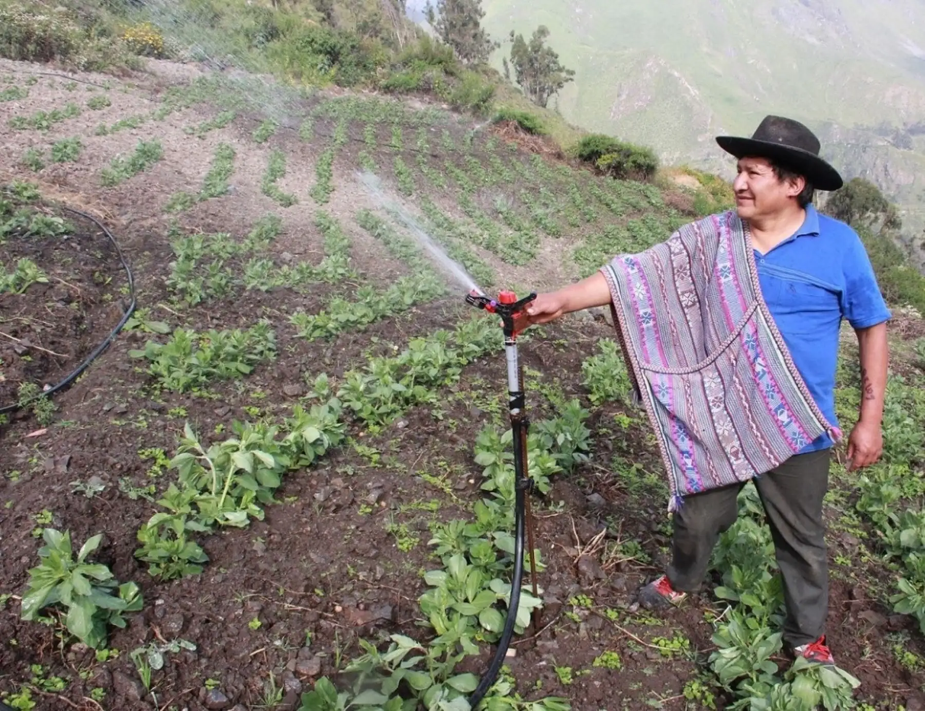 Foncodes invierte S/ 2.6 millones para mejorar calidad de vida y financiar emprendimientos rurales de familias pobres de la provincia limeña de Huarochirí. ANDINA/Difusión