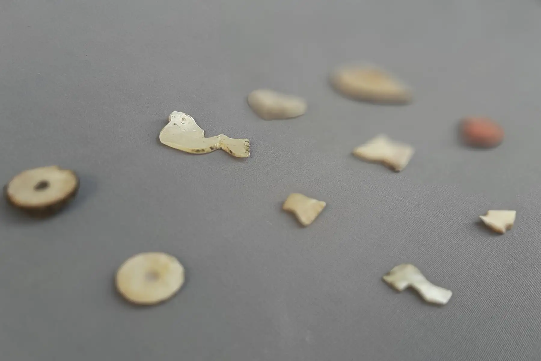 Se trabaja con las piezas que se van encontrando como los fragmentos de decoración mural policromado, textiles, material malacológico como conchas de spondylus, semillas de nectandra, 60 cráneos de niños de 1 a 15 años de edad, usado por los antiguos peruanos en ceremonias importantes.
Foto: ANDINA/Luis Puell