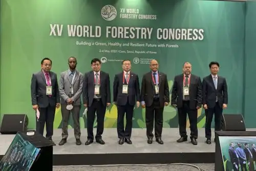 En el XV Congreso Forestal Mundial se dio a conocer el proyecto de promoción de plantaciones forestales como parte de Bosques de Paz Perú y Ecuador. Foro: ANDINA/Serfor
