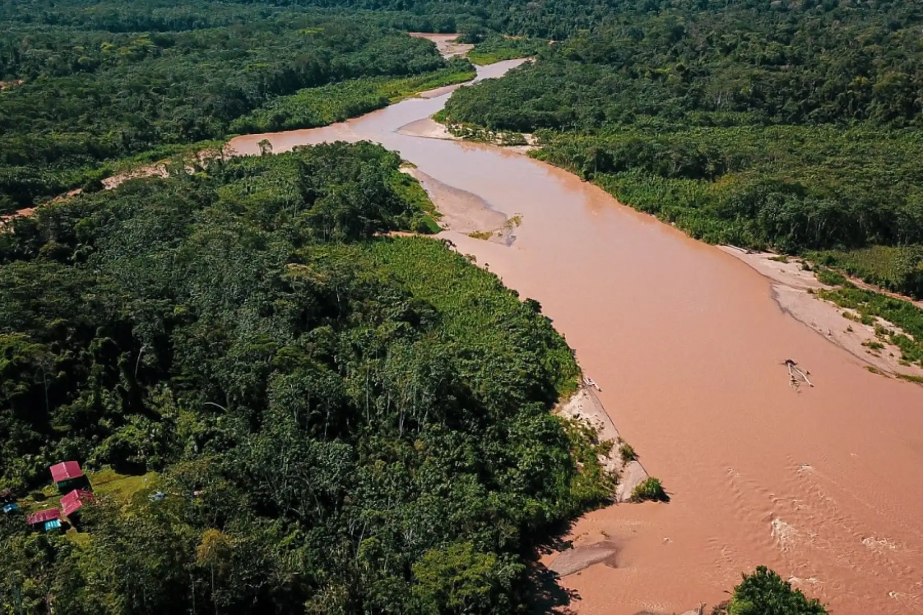La Reserva Comunal Amarakaeri es una de las más grandes reservas comunales de Perú en la que se conserva las cuencas de los ríos Madre de Dios y Colorado, a fin de asegurar la estabilidad de las tierras y bosques para mantener la calidad y cantidad de agua, el equilibrio ecológico y un ambiente adecuado para el desarrollo de las comunidades nativas. Foto: Reserva Comunal Amarakaeri/Facebook