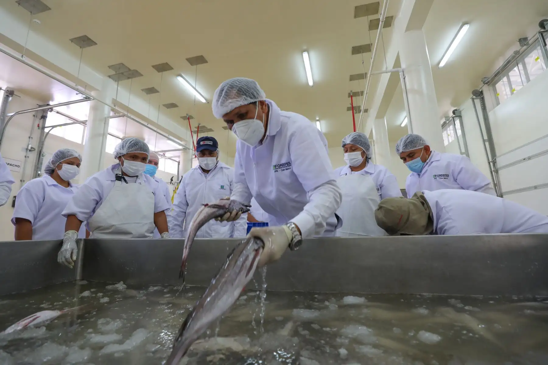 El Ministerio de la Producción (Produce) hizo entrega del Desembarcadero Pesquero Artesanal (DPA) de Cabo Blanco, Talara, cuya inversión alcanza los S/ 39 millones, una obra que será inaugurada por el Presidente de la República, Pedro Castillo Terrones.
Foto: ANDINA/Produce