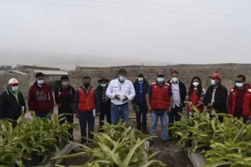El curso, organizado por la Estación Experimental Agraria Donoso del INIA, ha permitido transferir conocimientos y metodologías para la producción de plantones de élite en viveros frutícolas, injerto de palto, generación de abonos orgánicos, así como muestreo y análisis de suelos.