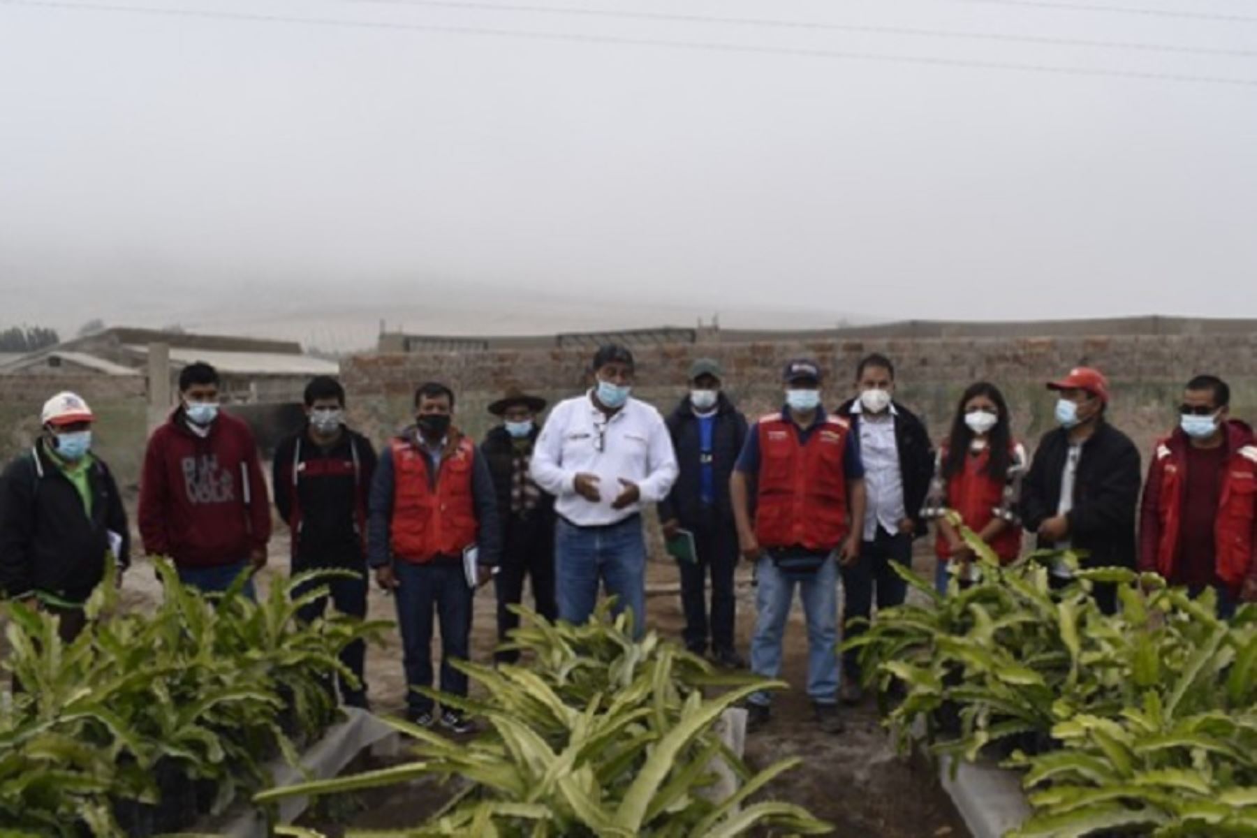 Huaral: Yachachiq de Foncodes aprenden tecnologías para mejorar calidad de cultivos