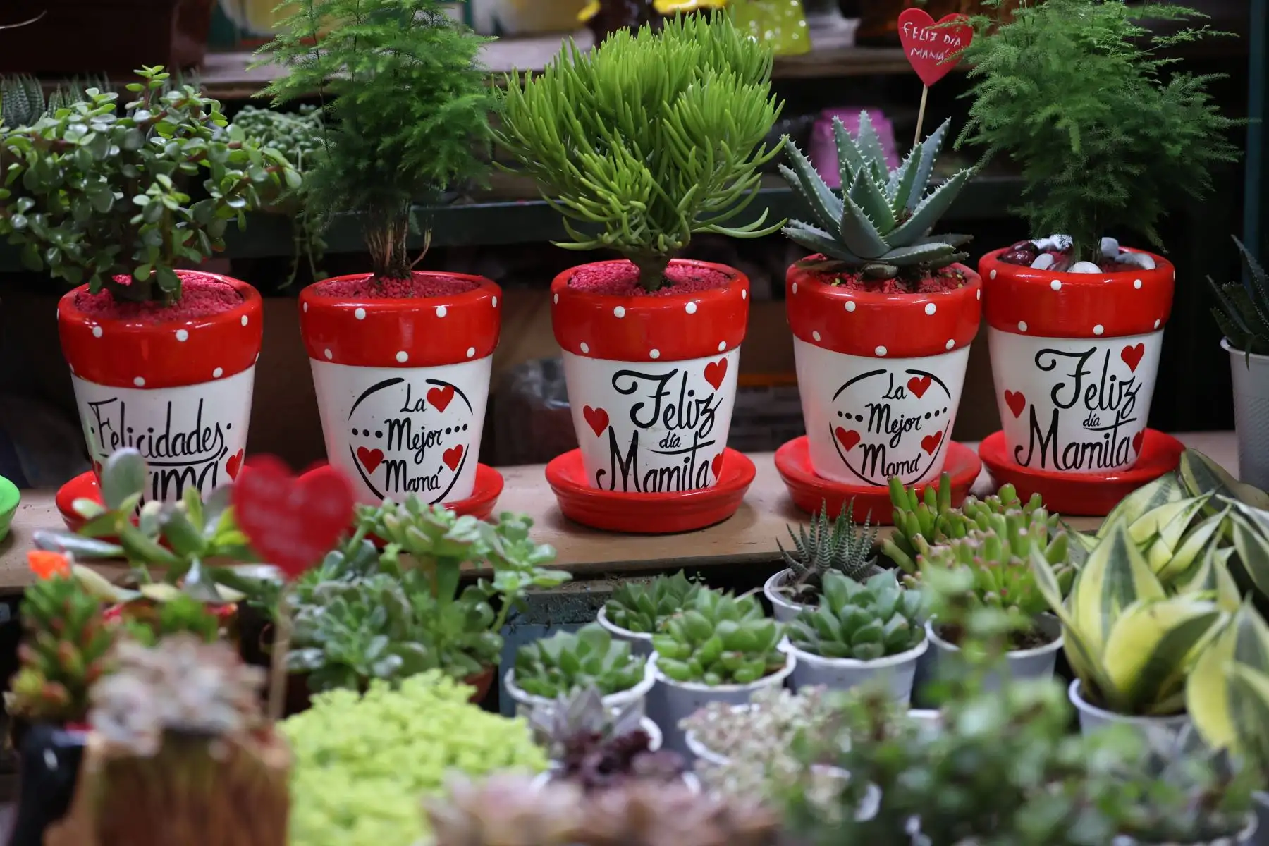 Venta de arreglos florales crece con motivo del día de la madre. Mercado de flores. Foto: ANDINA/Melina Mejía