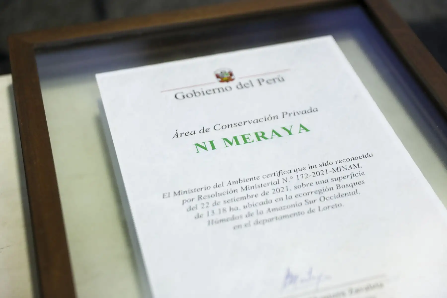 El Ministerio del Ambiente y el Servicio Nacional de Áreas Naturales Protegidas por el Estado, entregaron el reconocimiento a los representantes de las áreas de conservación privada reconocidas durante el año 2021 y 2022. Durante el evento se reconocieron 10 áreas de conservación privada quienes se han convertido en uno de los principales impulsores de la conservación en sus ámbitos. Foto: ANDINA/Carla Patiño